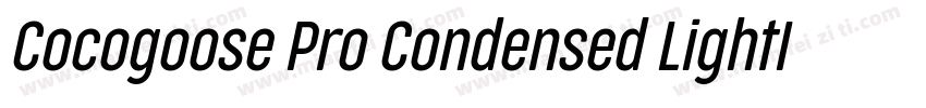 Cocogoose Pro Condensed LightIta字体转换